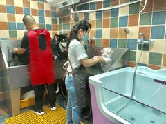 -米卢宠物公园(广华居店)