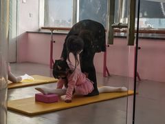 -舞研舞蹈培训(魏公村校区)