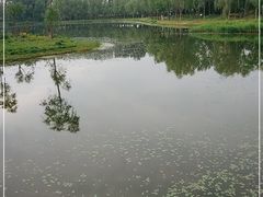 -东郊湿地公园