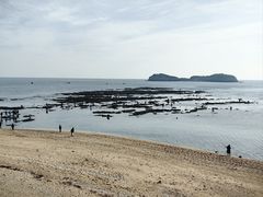 -傅家庄公园