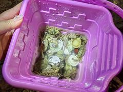 -三亚鹿回头高尔夫球会-停车场