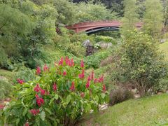 -云溪植物园