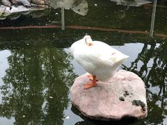 -龙华寺