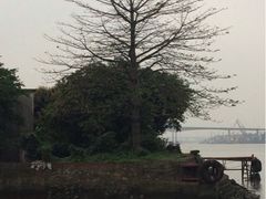 iphone_upload_pic-喜洲吧·江畔老船厂·庭院餐厅(喜临院店)