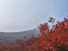 -周口店坡峰岭风景区