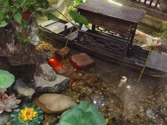 -寻钵记民菜馆·正宗常德钵子菜(滨湖路店)