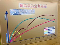 -青岛葡萄酒博物馆