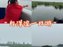 -白洋淀景区