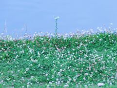 -无锡新湖铂尔曼大酒店