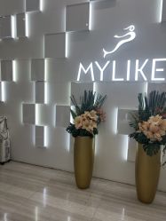 -深圳美莱医疗美容医院