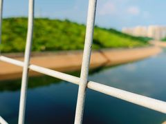 -白鹭湾湿地公园