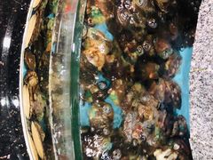 -迎喜海鲜酒楼(鹏森·海纳中心店)