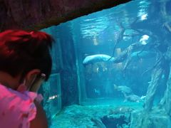 -华夏文旅海洋公园