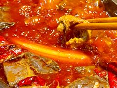 -阳阳老火锅(小南门店)