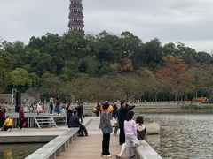 -顺峰山公园