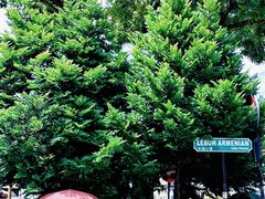 -槟城街头艺术街区