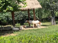 -济南野生动物世界