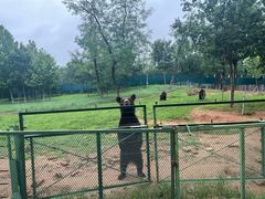 -秦皇岛野生动物园