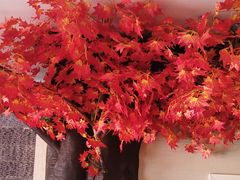 -御泉足浴SPA养生会所