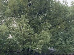 -采石矶景区