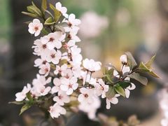 -朝阳公园