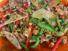招牌姜爆鸡-陈胖子特色菜.鲜货现炒(融景城店)
