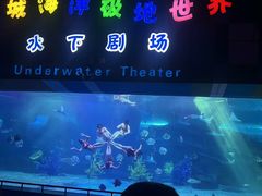 -泉城欧乐堡海洋极地世界