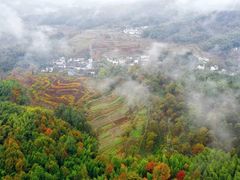 -塔川景区