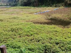 -李小龙乐园(顺德均安店)