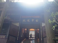 -青城甲(青城山店)