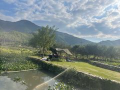 -莫干山风景区