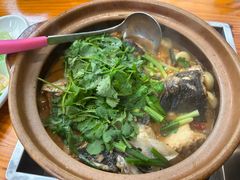 -九道菜有鸡鱼头(石鼓路店)