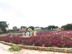 -松山湖梦幻百花洲