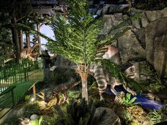 -陕西自然博物馆