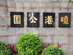 -晓港公园