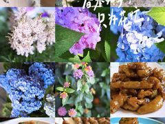 -福寿斋·老北京铜锅涮肉·烧烤(清岚店)