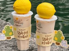 -猫的魔法密林(衣裳街店)