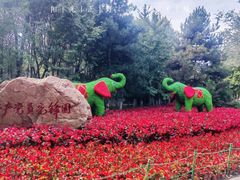 -长白岛森林公园