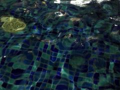 -泉城欧乐堡戏水湾艺术养生温泉