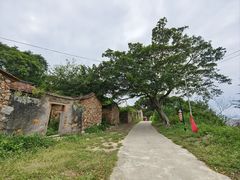 -六鳌古城