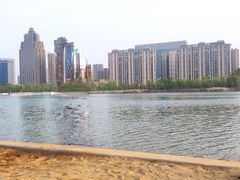 -金沙湖公园