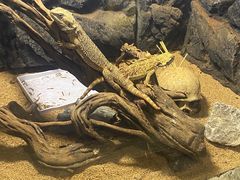 -绿色星球动物主题公园
