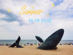 -烟台金沙滩海滨公园