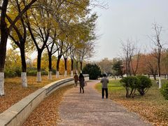 -北京国家会计学院
