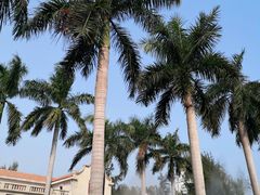 校门-厦门大学(思明校区)