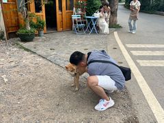 -村上春树