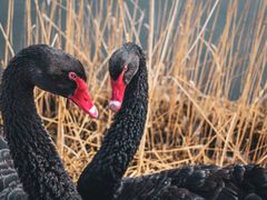 -天津东丽湖风景区