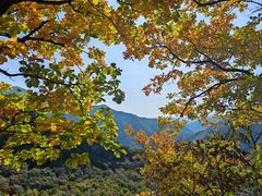 -五女峰国家森林公园