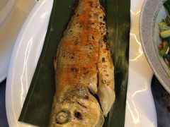 臭黄鱼-蔼若春.传承三十年云南菜(金碧公园店)