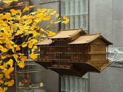 -四世同堂·京菜·烤鸭(双井店)